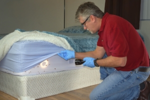 Bed Bug Extermination & Prevention In Houston